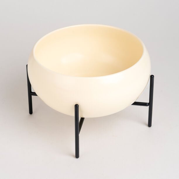 طبق سلطة بيج بقاعدة سوداء من لا ميسا image number 1