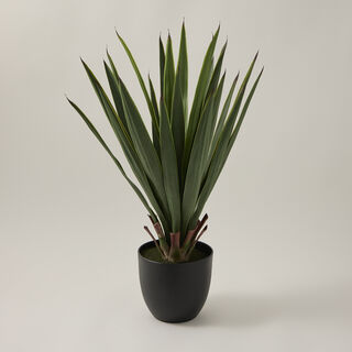 Artificial Plant 66.04*66.04*68.58cm