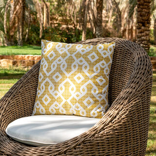 Cushion