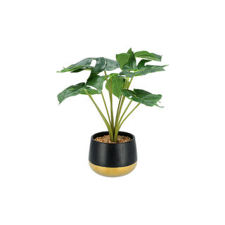 Artificial Plant