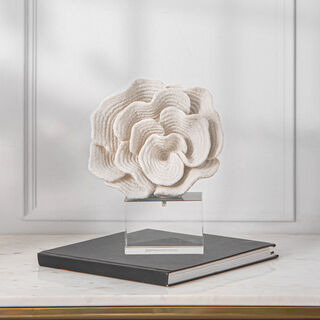 Home Accent Resin Coral With Acrylic Base 17.5*7*22.5 cm