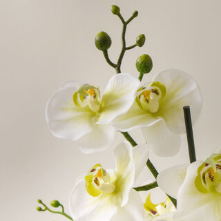 Homez white orchid in ceramic pot 53*53*58cm