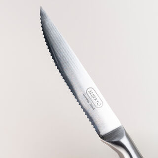 Alberto 6 pcs stainless steel steak knife set 5"