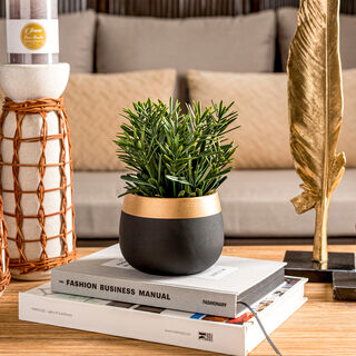 Artificial Plant Succulent In Cement Pot Green