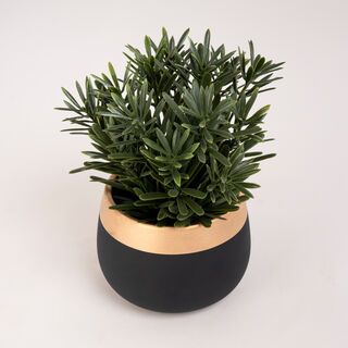 Artificial Plant Succulent In Cement Pot Green