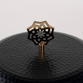 حافظة طعام ستانلس ستيل   30*29*25 سم   لا ميسا