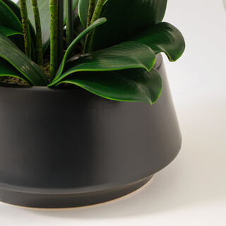 Homez white orchid in ceramic pot 53*53*58cm