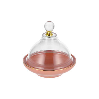 تمرية بورسلان