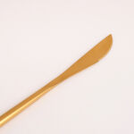 La Mesa 16 Pieces Cutlery Set Matte Gold image number 5