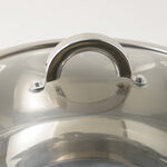 Alberto stainless steel pot with lid, silver 8.2L image number 4