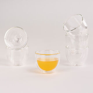 6 Piece Glass Double Wall Coffee Cup