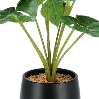 Artificial Plant