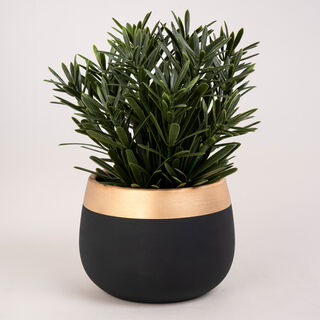 Artificial Plant Succulent In Cement Pot Green