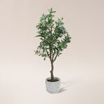 Aritificial plant in a Cement pot image number 0