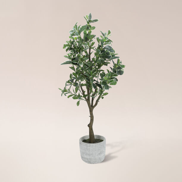 Aritificial plant in a Cement pot image number 0