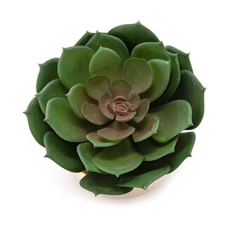 Aritificial lotus plant in a ceramic pot