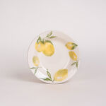 طقم سفرة بورسلان 20 قطعة ريو image number 4