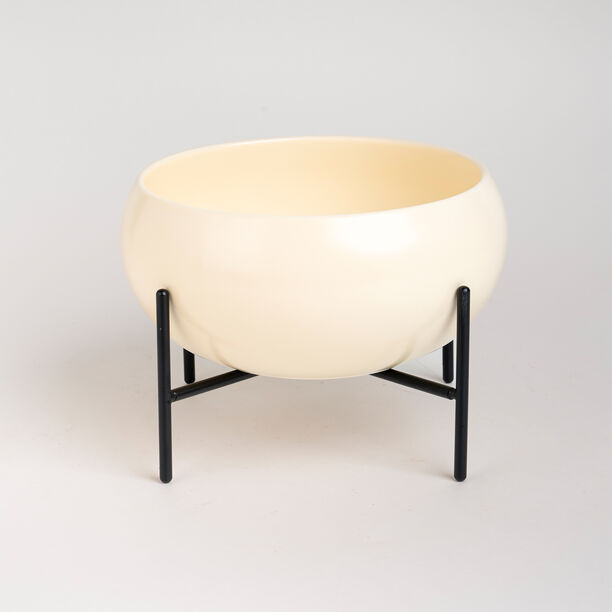 طبق سلطة بيج بقاعدة سوداء من لا ميسا image number 0