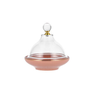 تمرية بورسلان