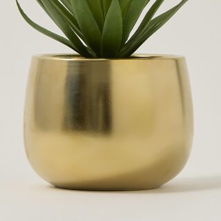 Grass sword artificial plant In gold pot