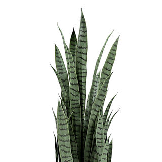 Artificial Tree 50*50*150 cm