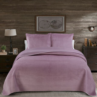 3 pieces Bedspread Purple