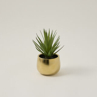 Grass sword artificial plant In gold pot