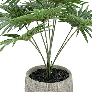 Artficial Plant 53.34*53.34*58.42cm