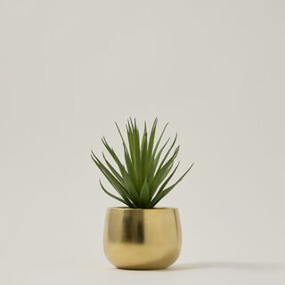 Grass sword artificial plant In gold pot