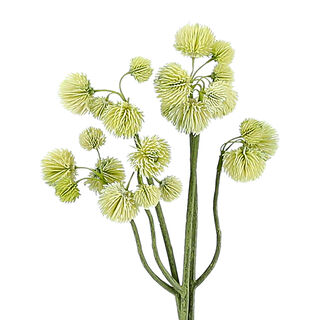 DRIED FLOWERS 3*14*39 CM